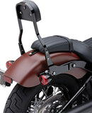 Harley-Davidson Street Bob [COBRA] – Kit de respaldo desmontable-1