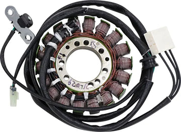 Triumph Daytona [RICK'S MOTORSPORT ELECTRIC] – Stator im OEM-Stil