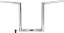 harley davidson fltruse [MARCA BURLY] – Jason Lenker-1