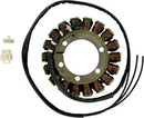 Suzuki DL 1000 V Strom [RICK'S MOTORSPORT ELECTRIC] - Estator para Suzuki
