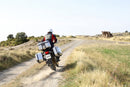 Honda Forza 750 [SHAD] - Maleta lateral derecha TR47 Terra-10