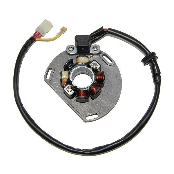 KTM 300 EXC [1999-2005] - Stator mit Magnetspule Coil - KTM