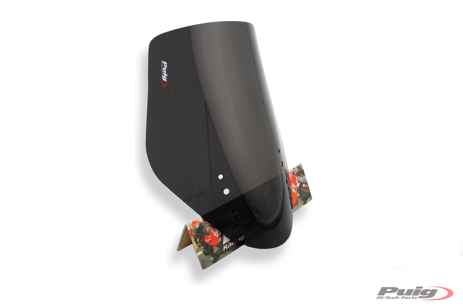 SUZUKI DL 650 V-STROM ABS [2011] - Pantalla Touring - Tintada