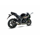Kawasaki Ninja 1000 [IXIL] - Silenciador RC acero inoxidable / tapa final carbono - CK7294RC