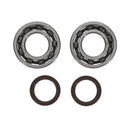 Kawasaki Kx 250 [PROX] - Kit rodamientos y retenes de aceite del cigüeñal - Kawasaki KX250F / X