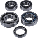 Kawasaki Kx 250 [HOT RODS] - Kit de soporte de caja de cambios - Kawasaki KX 250 F