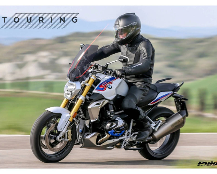 BMW R 1250 R [2018] – Nueva Generación Deportiva – Tintada