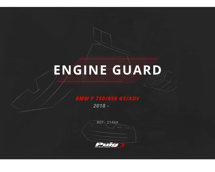 BMW F 900 GS [2025] – Protector de motor – Plata