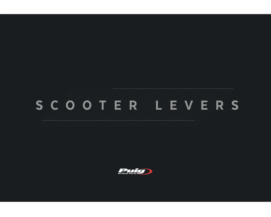 HONDA FORZA 125 [2020] – Palanca de ciclomotor – plateada