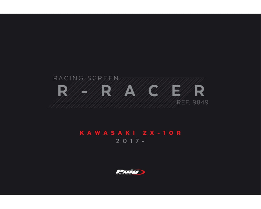 KAWASAKI ZX-10RR NINJA PERFORMANCE [2018] – Cúpula R-Racer – Tintada