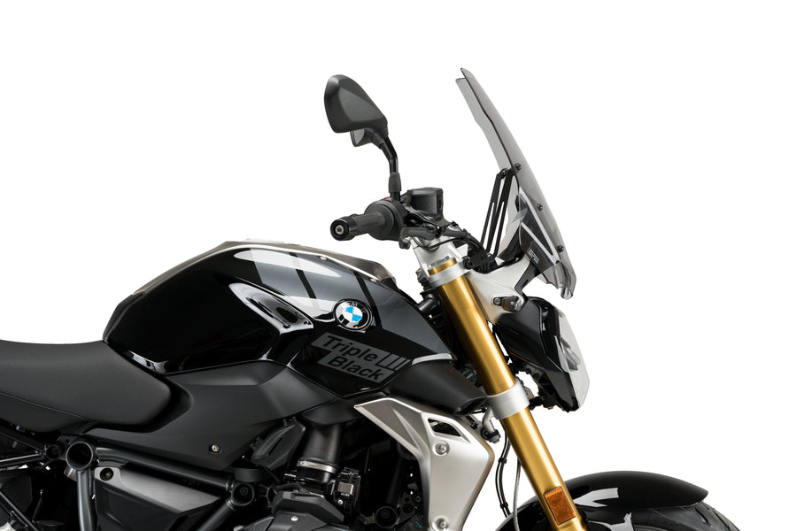 BMW R 1250 R [2025] – Nueva Generación Touring – Tintada