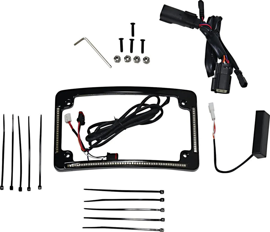 harley davidson fltruse [DINÁMICA PERSONALIZADA] - Marco de matrícula con radio LED
