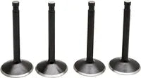 Harley Davidson Panhead [KIBBLEWHITE] – Kit de válvulas de motor Black Diamond™