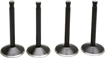 Harley Davidson Panhead [KIBBLEWHITE] – Kit de válvulas de motor Black Diamond™