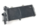 BMW F 650 CS Scarver [2001] - Enfriador de agua fría-1