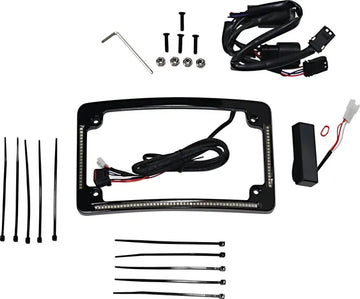 Harley Davidson Flhx [DINÁMICA PERSONALIZADA] - Marco de matrícula con radio LED