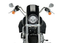HARLEY DAVIDSON SOFTAIL LOW RIDER FXLR [2020] – Anarquía – Negro-7