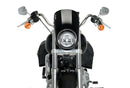 HARLEY DAVIDSON SOFTAIL LOW RIDER FXLR [2020] – Anarquía – Negro-5