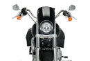 HARLEY DAVIDSON SOFTAIL LOW RIDER FXLR [2020] – Anarquía – Negro-3