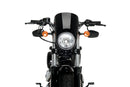HARLEY DAVIDSON SPORTSTER FORTY-EIGHT XL 1200 X [2020] – Anarquía – Negro-5