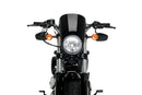 HARLEY DAVIDSON SPORTSTER FORTY-EIGHT XL 1200 X [2020] – Anarquía – Negro-3