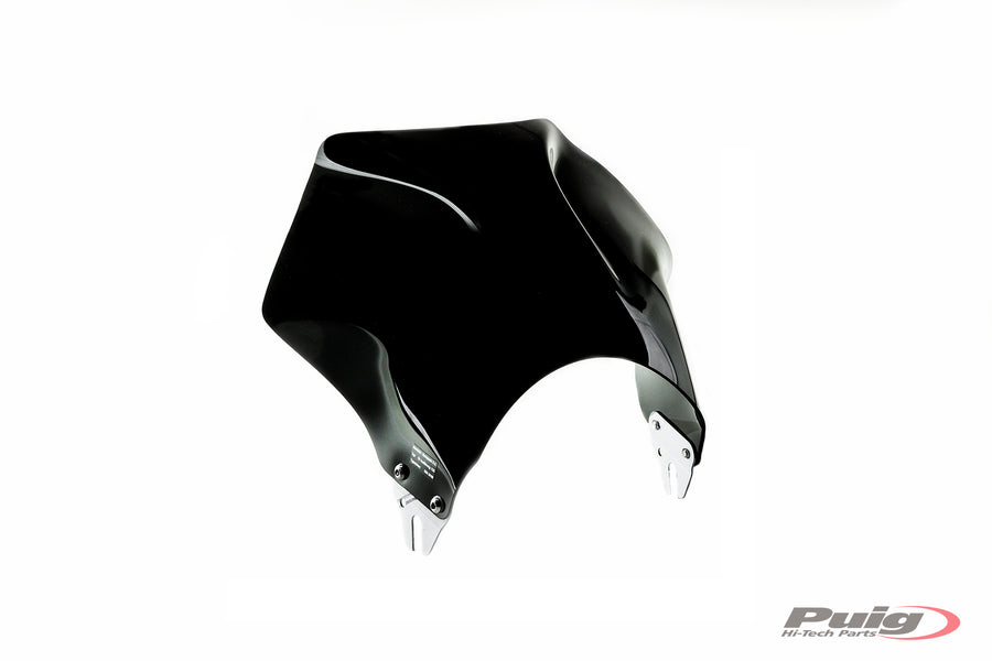 HONDA CB 600 F HORNET [2004] – Raptor – Tintado