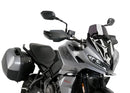 TRIUMPH TIGER SPORT 660 [2025] – pantalla touring – tintada-19