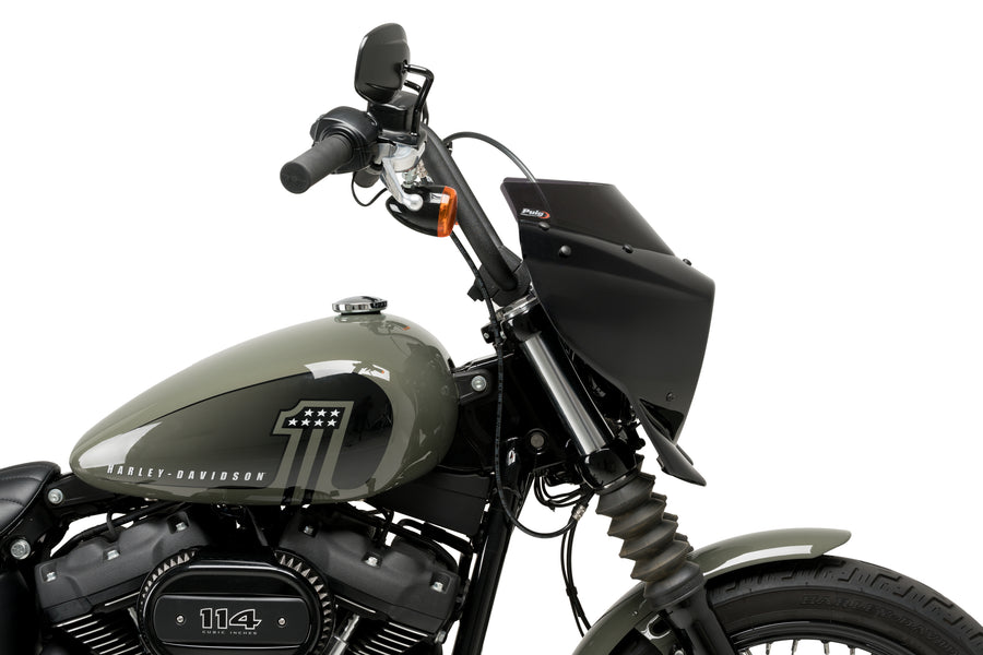 HARLEY DAVIDSON SOFTAIL STREET BOB FXBB [2019] – Mirage – Tintado