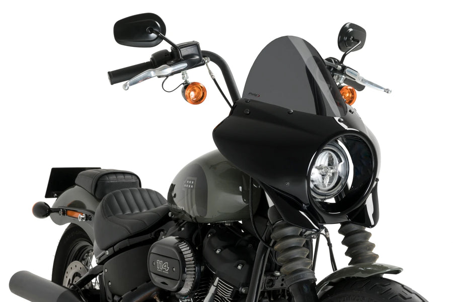 HARLEY DAVIDSON SOFTAIL STREET BOB FXBB [2019] – Mirage – Tintado