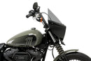 HARLEY DAVIDSON SOFTAIL STREET BOB FXBB [2019] – Mirage – Tintado-40