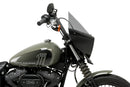 HARLEY DAVIDSON SOFTAIL STREET BOB FXBB [2019] – Mirage – Tintado-3