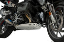 BMW R 1250 GS [2024] – Protección del motor – Plata-3