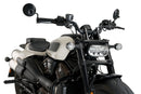 HARLEY DAVIDSON SPORTSTER S RH 1250 S [2024] – Fury – Muy tintado-29