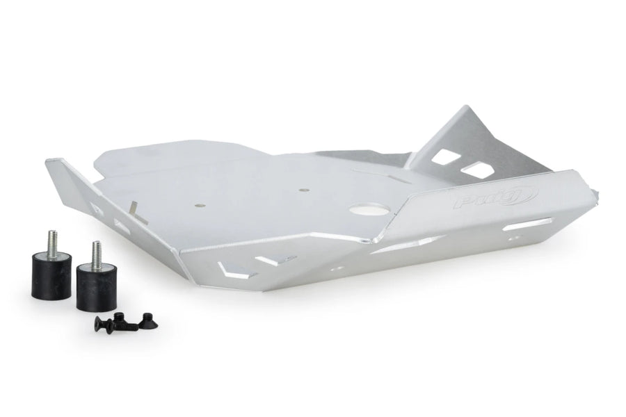 BMW R 1300 GS TROPHY [2025] - Protector de motor - Negro