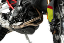 BMW F 900 GS [2025] – Protector de motor – Plata-18
