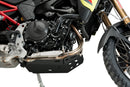 BMW F 900 GS [2025] – Protector de motor – Plata-30