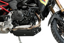 BMW F 900 GS [2025] – Protector de motor – Plata-4