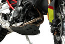 BMW F 900 GS [2025] – Protector de motor – Plata-3