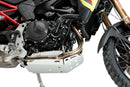 BMW F 900 GS [2025] – Protector de motor – Plata-37