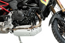 BMW F 900 GS [2025] – Protector de motor – Plata-11