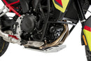 BMW F 900 GS [2025] – Protector de motor – Plata-15