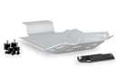 BMW F 900 GS [2025] – Protector de motor – Plata-43