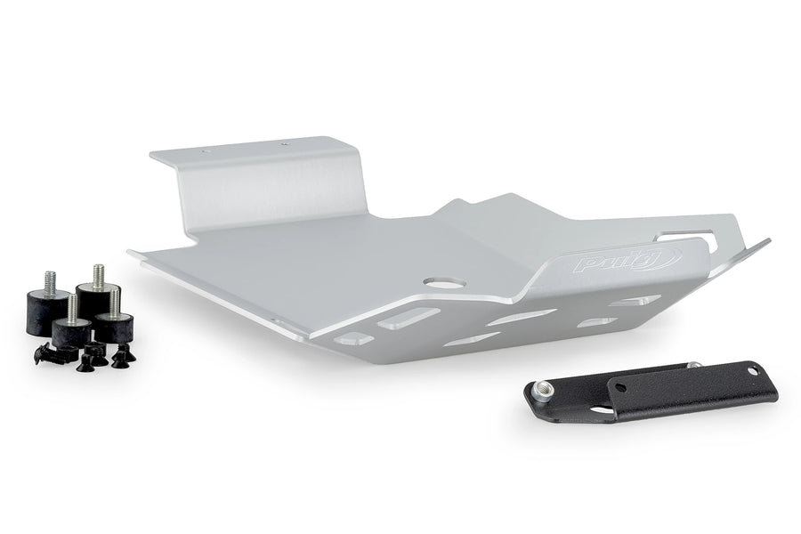 BMW F 900 GS ADVENTURE [2024] - Protección motor | Plata | PUIG 22029P