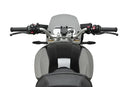 BMW R 12 NINET [2025] – Nueva generación deportiva – Muy tintado