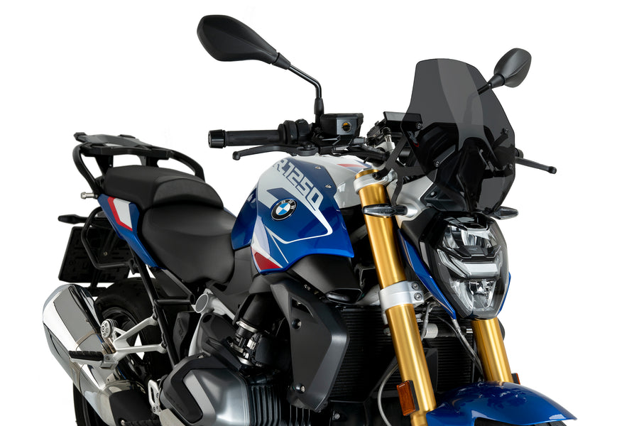 BMW R 1250 R [2025] – Nueva Generación Deportiva – Tintada