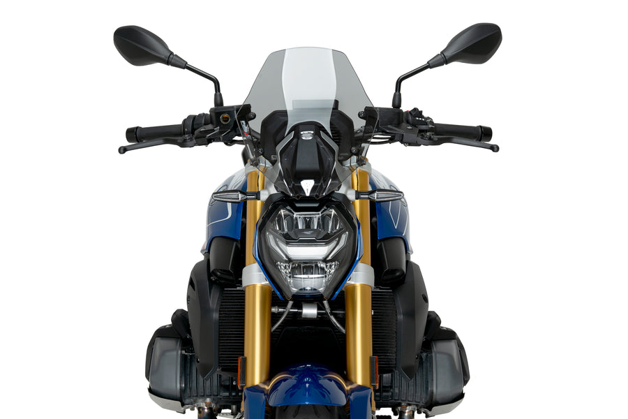 BMW R 1250 R [2025] – Nueva Generación Deportiva – Tintada