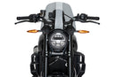 INDIAN FTR 1200 SPORT [2025] – Deportiva de nueva generación – Tintada-1