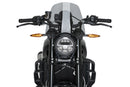 INDIAN FTR 1200 SPORT [2025] – Deportiva de nueva generación – Tintada-3