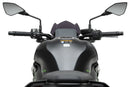 KAWASAKI Z 900 SE [2025] – Deportiva de nueva generación – Tintada-5