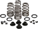 Daytona 660 [KIBBLEWHITE] – Kit de resorte de válvula Beehive Valve™